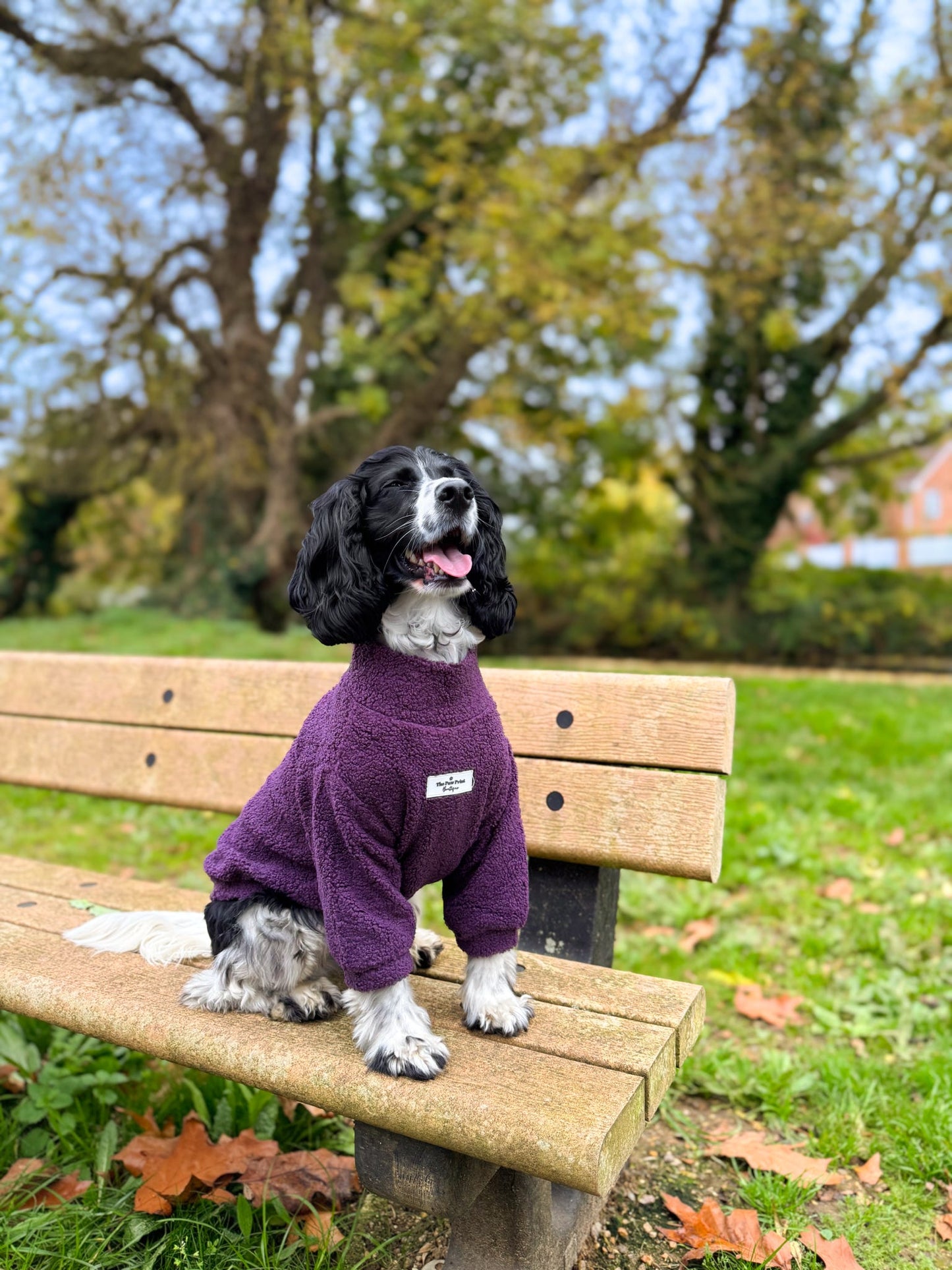 Teddy Fleece - Plum