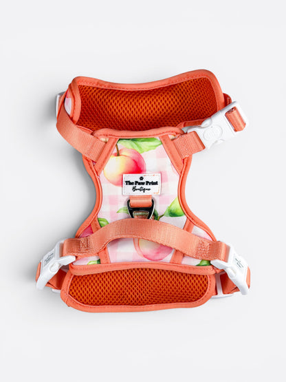 Peach Gingham Adventure Paws Harness