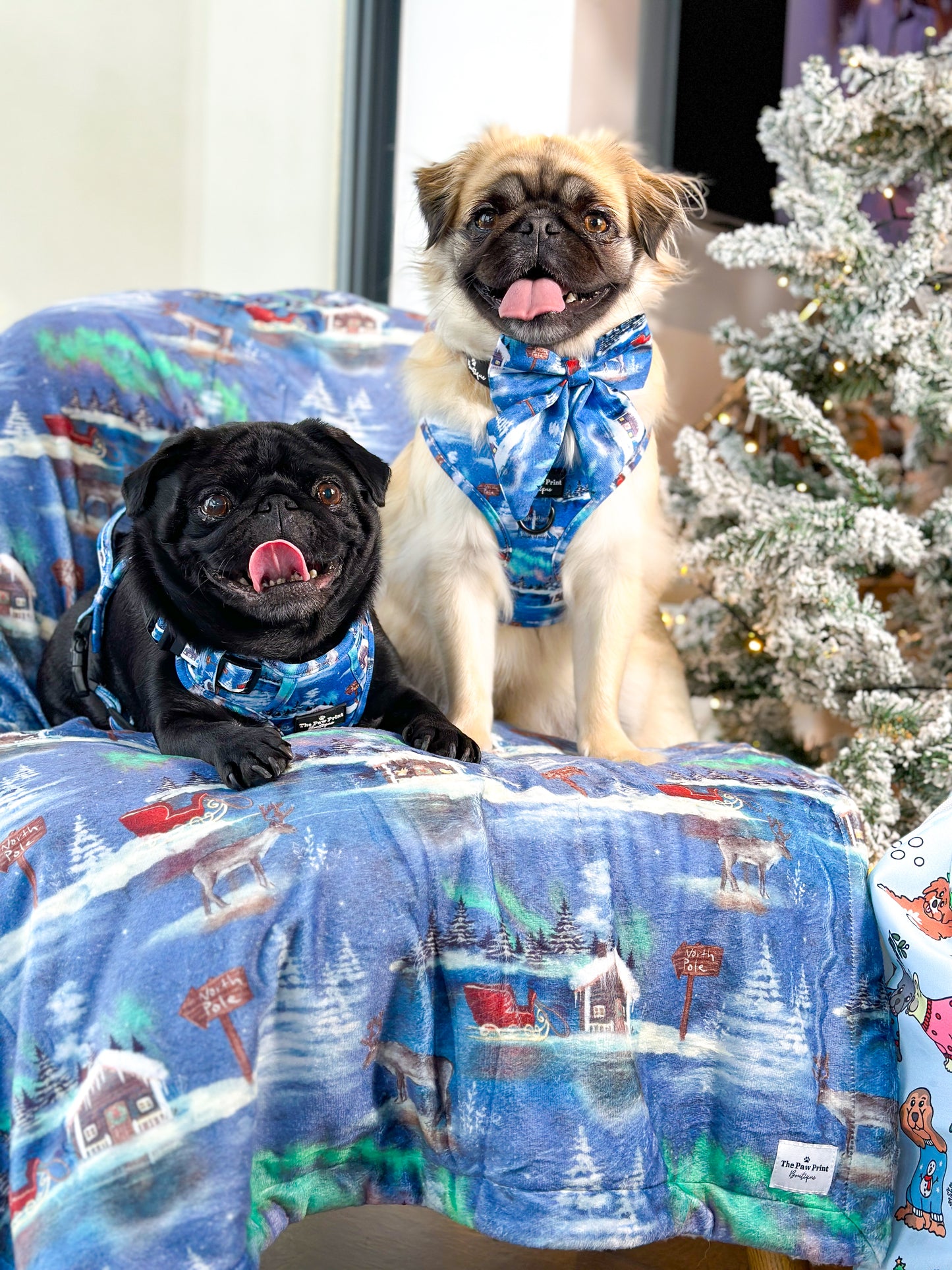 The North Pole Adjustable Harness