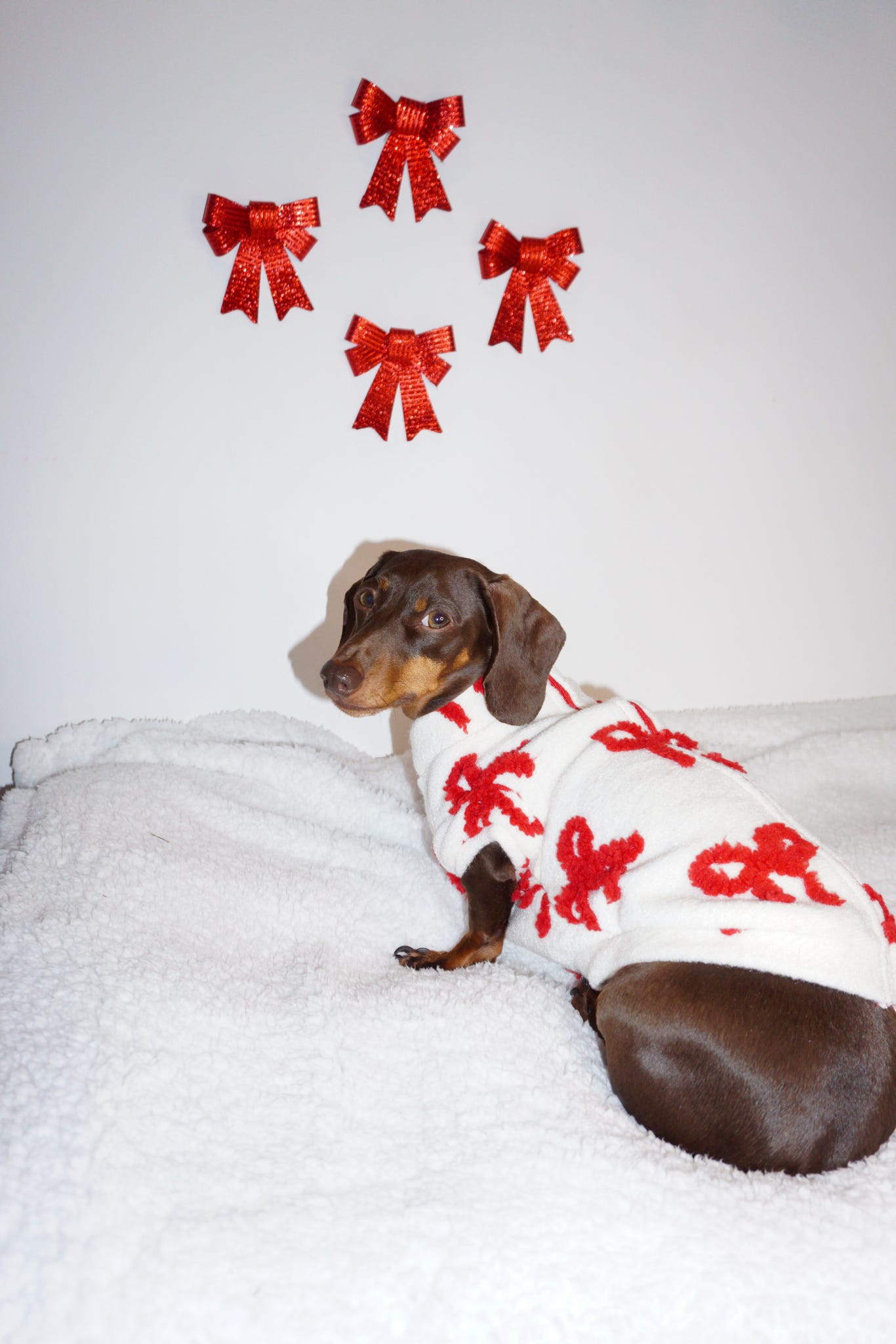 The Red Bow Fleece