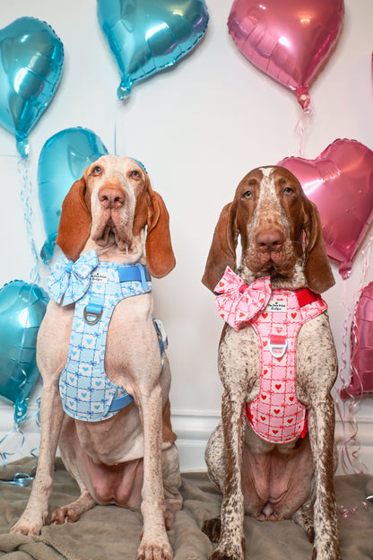 Pink Chequered Hearts Adventure Paws Harness