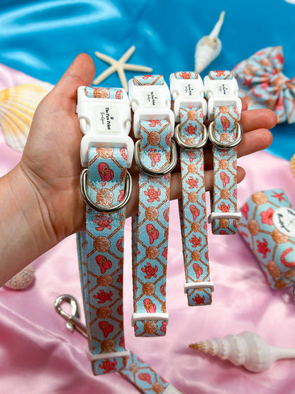She sells Seashells by the YEEHAW Collar
