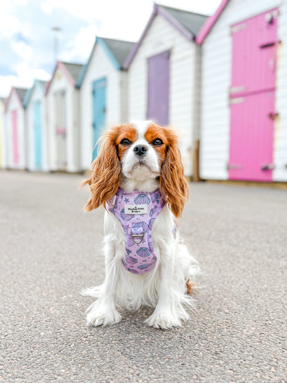 Mermaids Tails Adventure Paws Harness