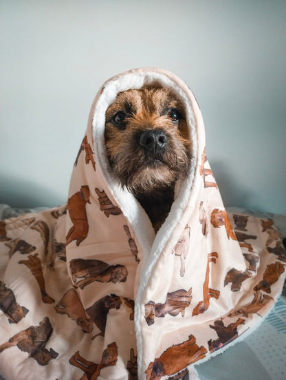 Border Terrier Dog Blanket