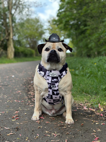 The Wild West Adventure Paws Harness