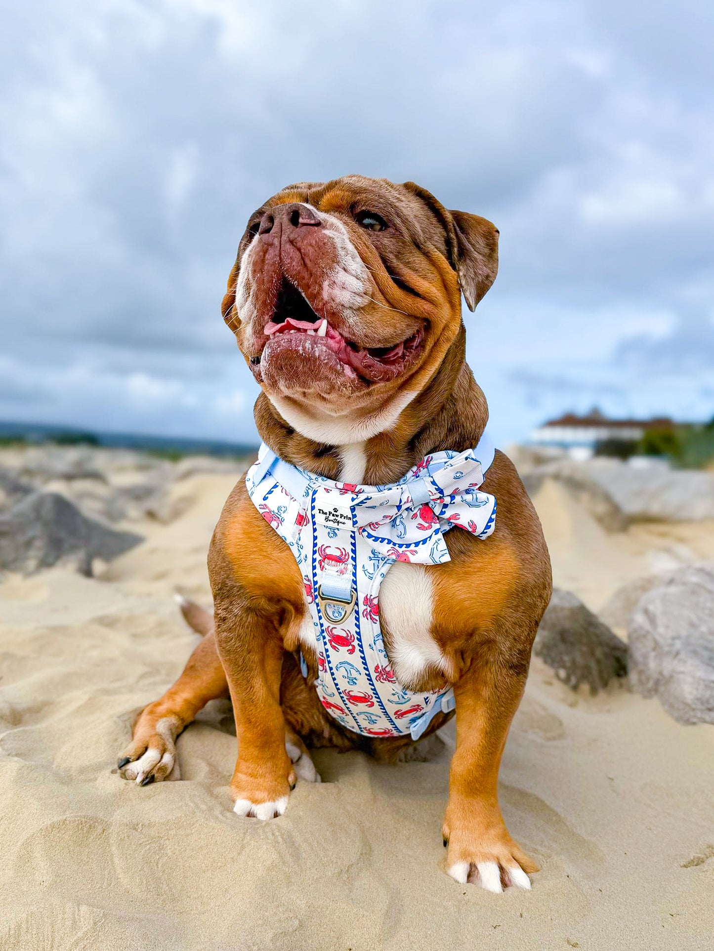 Absolutely Crabulous Bow Tie