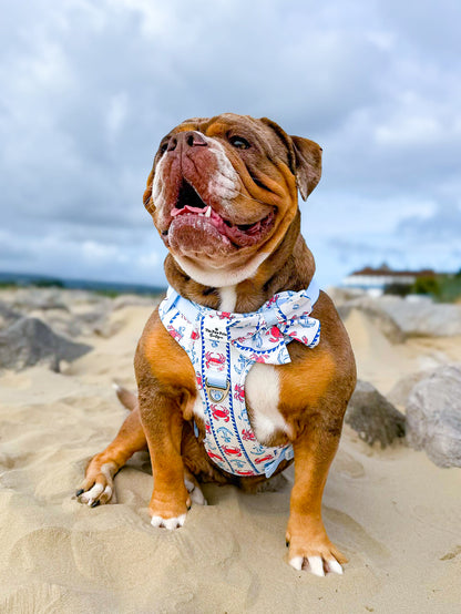 Absolutely Crabulous Bow Tie