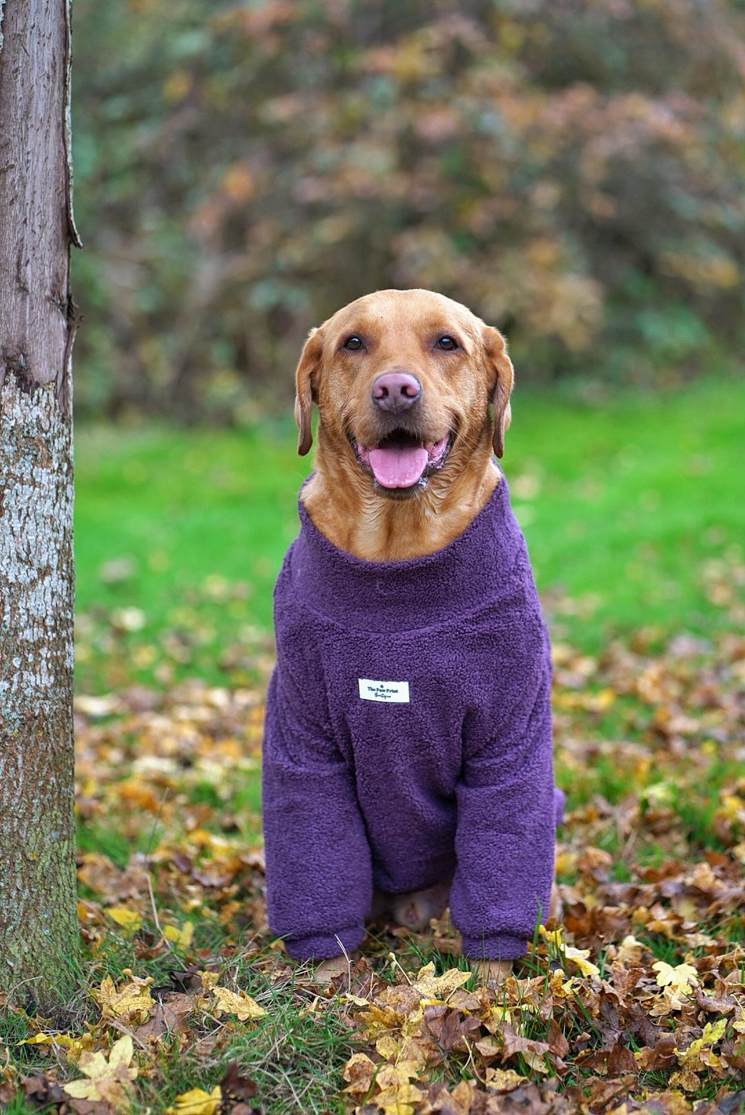 Teddy Fleece - Plum