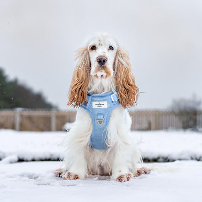 The Ocean Blue Adventure Paws Harness