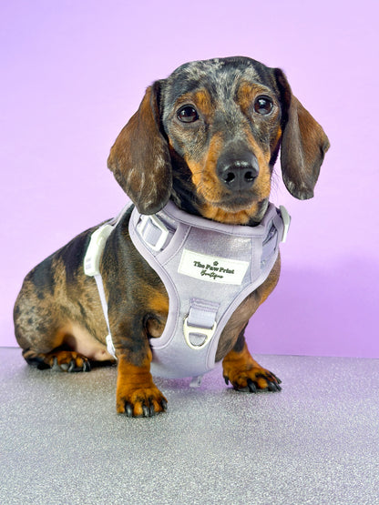 The Lavish Lilac Adventure Paws Harness