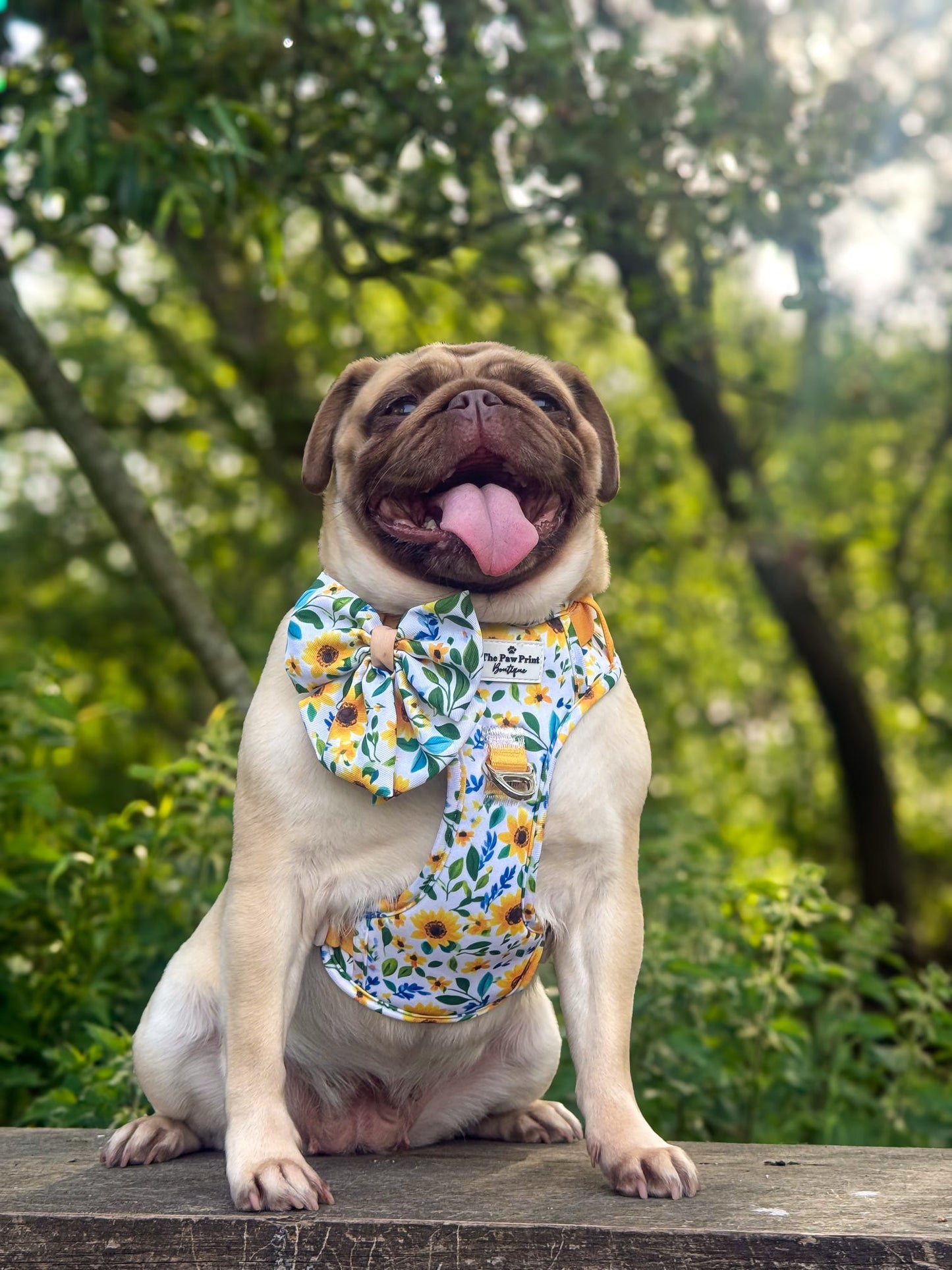 Sunny Sunflowers Adventure Paws Harness