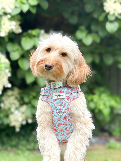 She sells Seashells by the YEEHAW Adventure Paws Harness