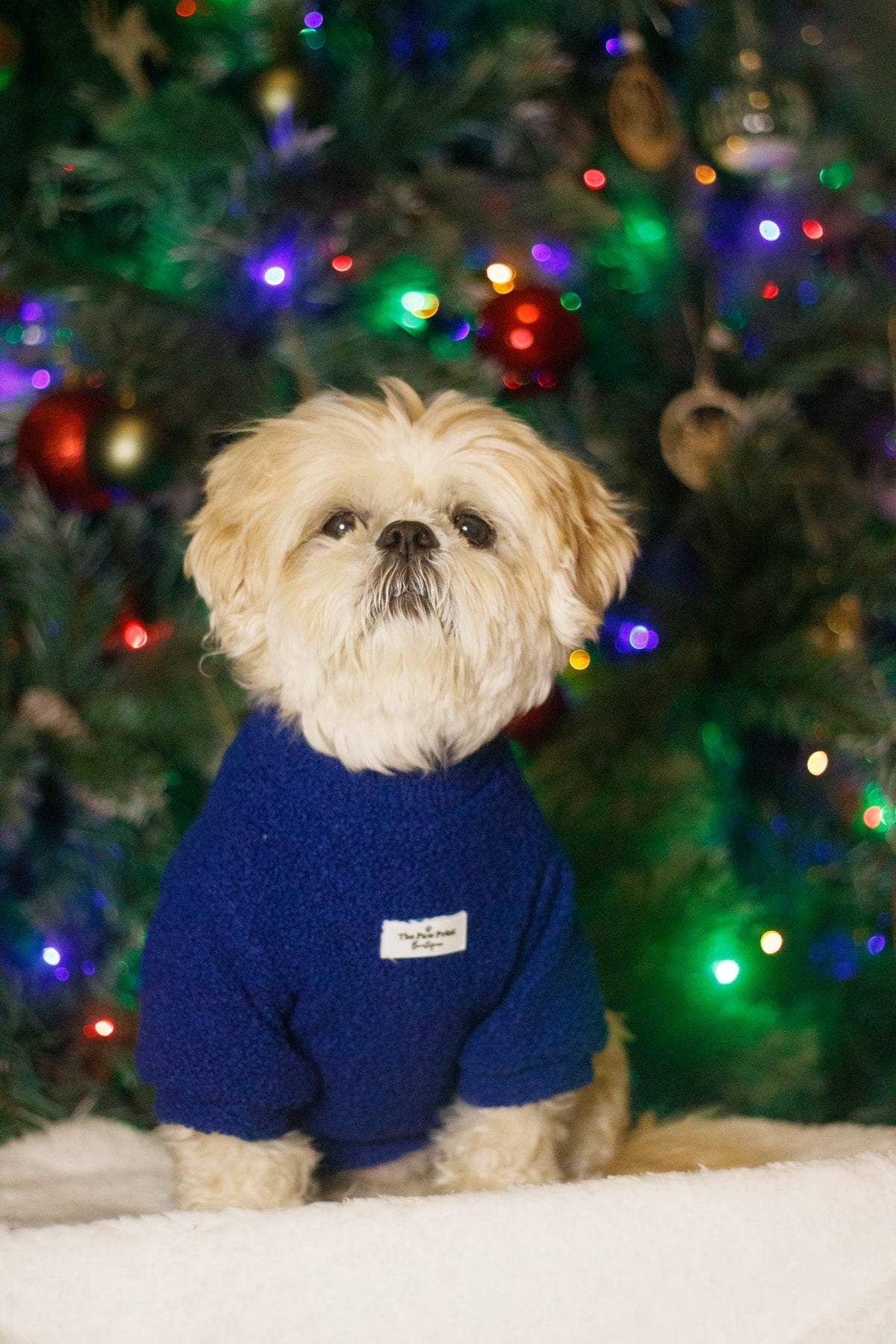 Teddy Fleece - Navy