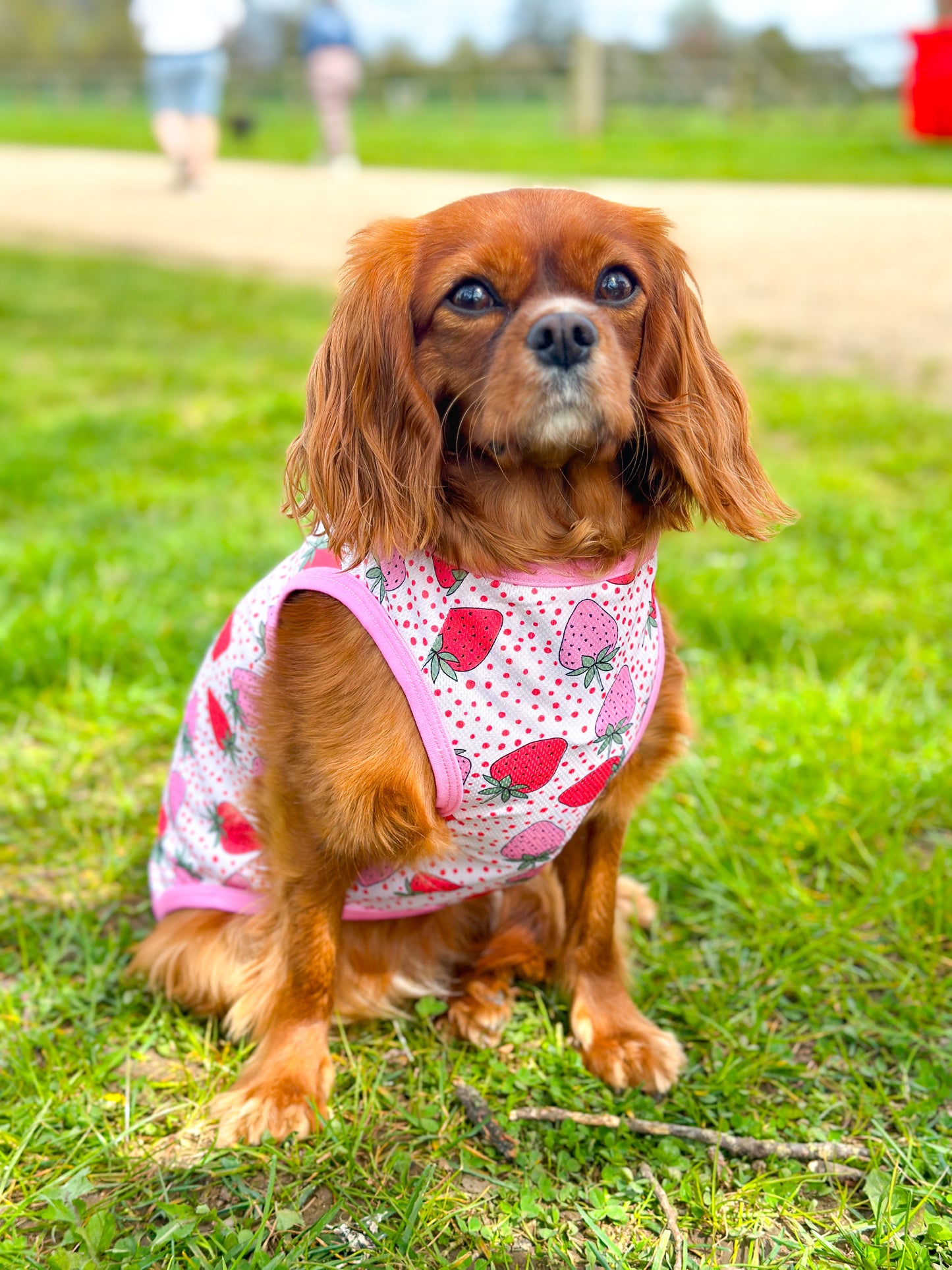 Sweet Strawberries Cooling Vest