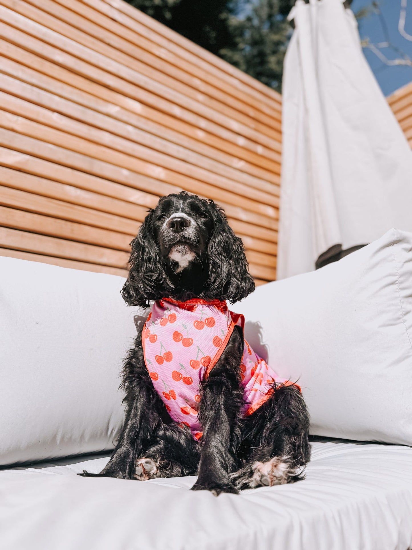 The Cherry on Top Cooling Vest