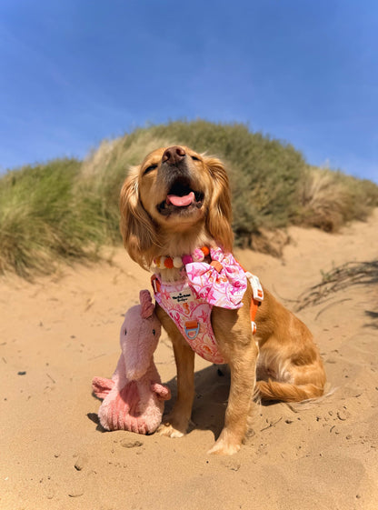 Under the Sea Adventure Paws Harness