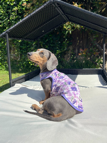 Blueberry Gingham Cooling Vest