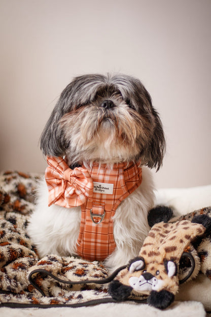 Pooches in Plaid Adventure Paws Harness