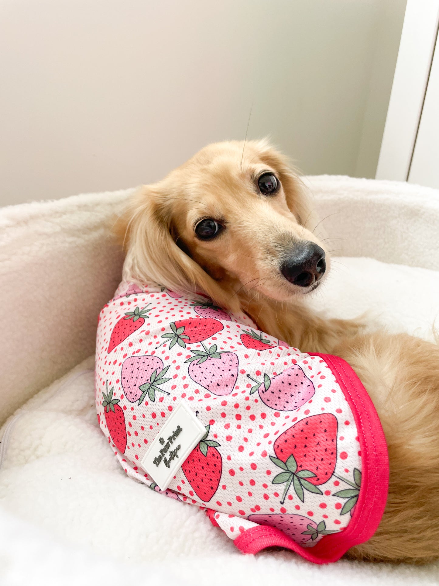 Sweet Strawberries Cooling Vest