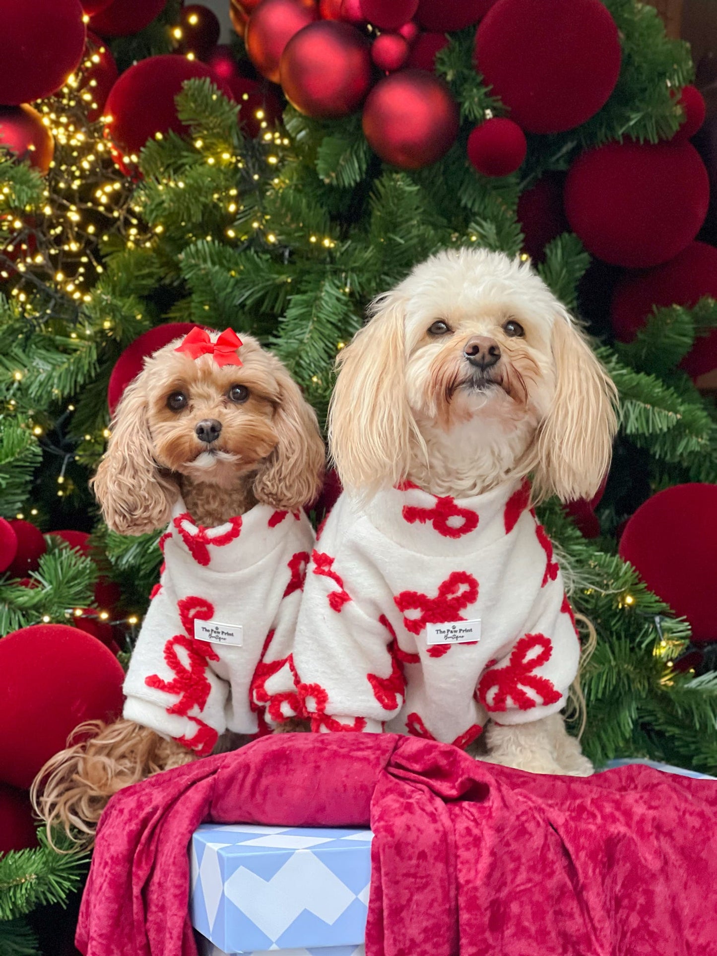 The Red Bow Fleece