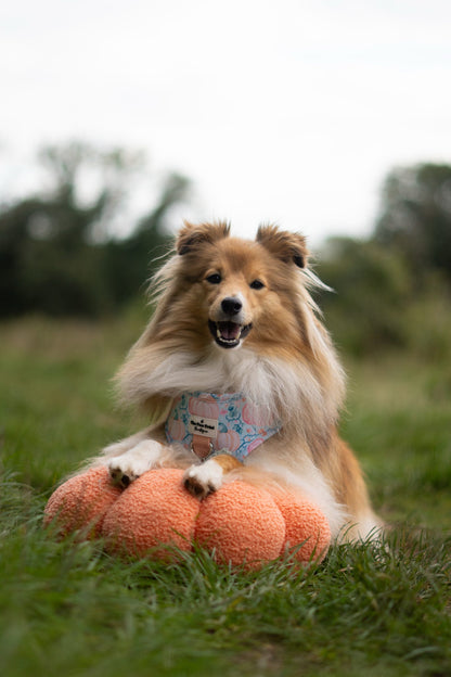 Pablo’s Pumpkins Adjustable Harness