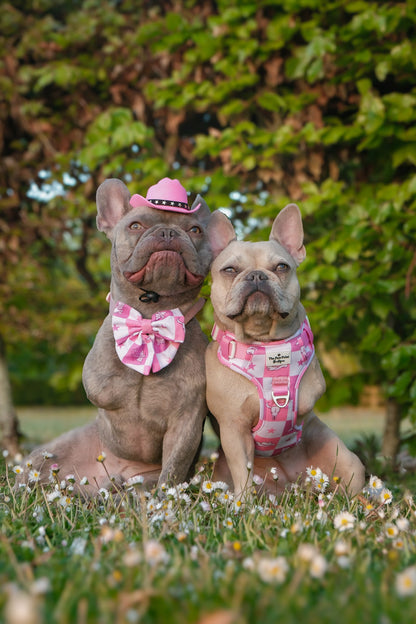 Cowgirl Cutie Adventure Paws Harness
