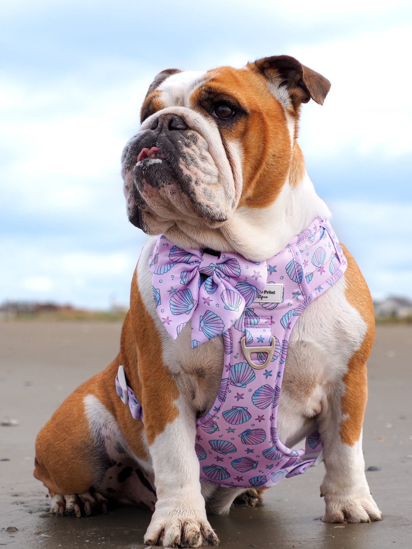Mermaids Tails Adventure Paws Harness
