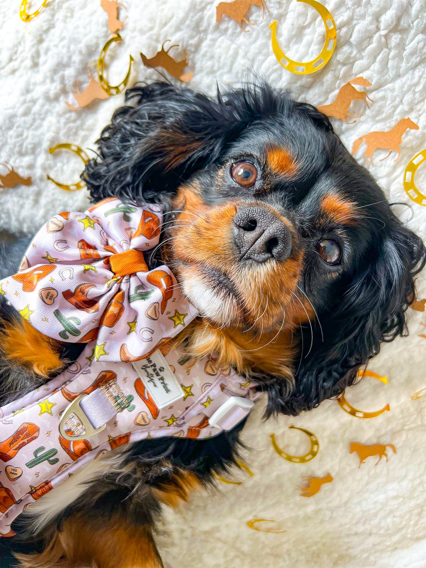 Howdy Pawtner Adventure Paws Harness