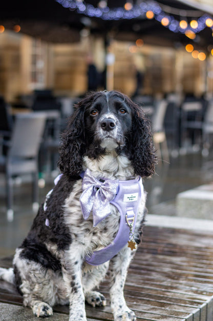 The Lavish Lilac Adventure Paws Harness