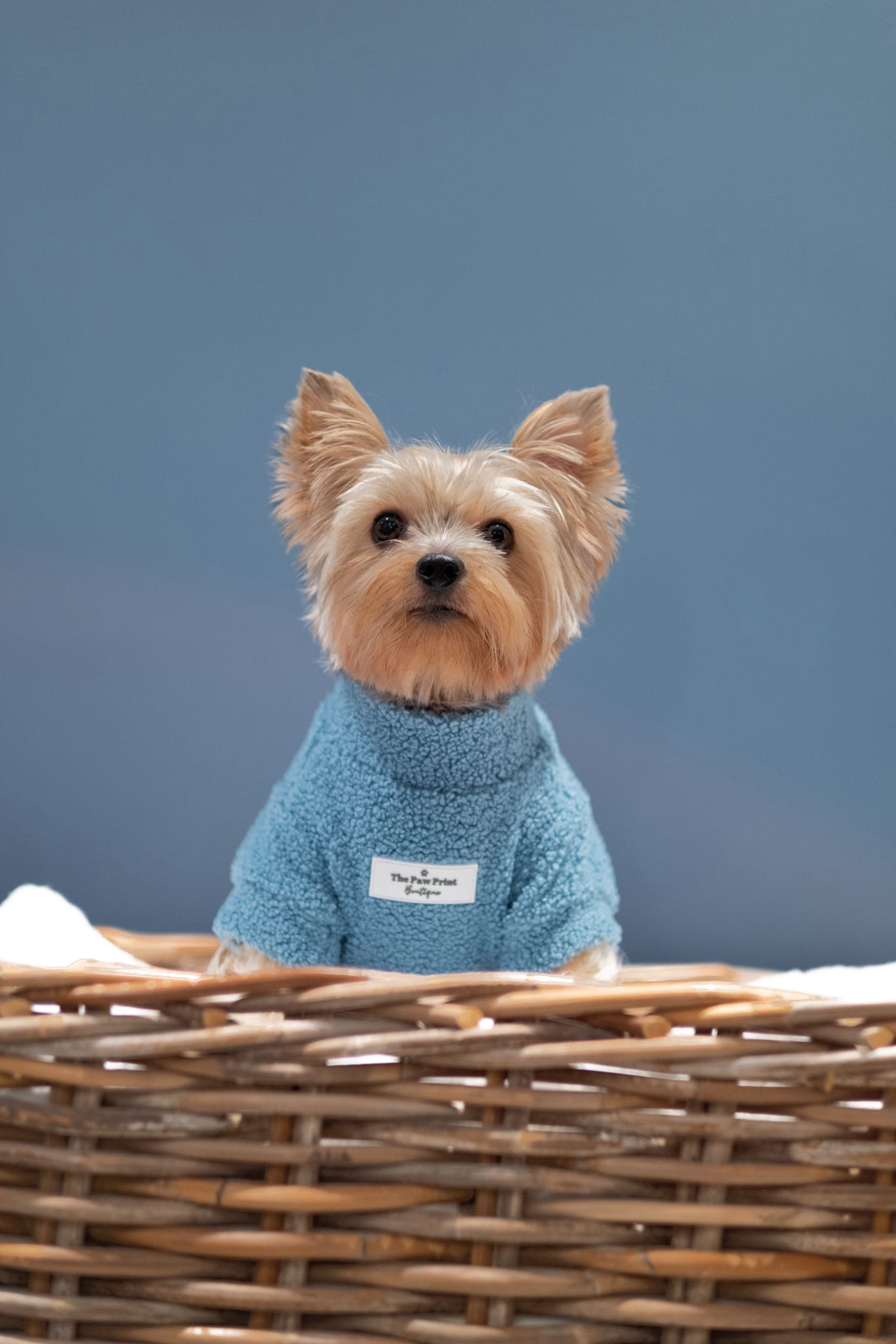 Teddy Fleece - Sea Blue