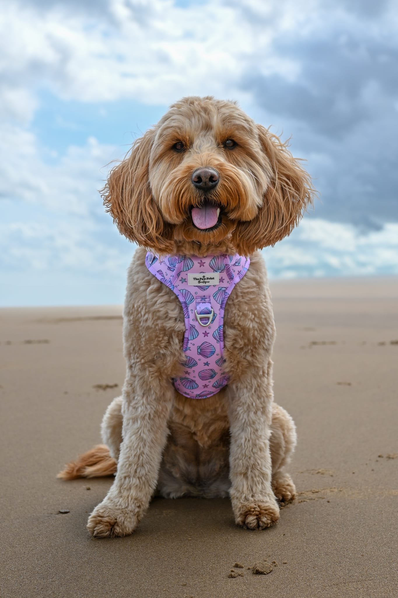 Mermaids Tails Adventure Paws Harness