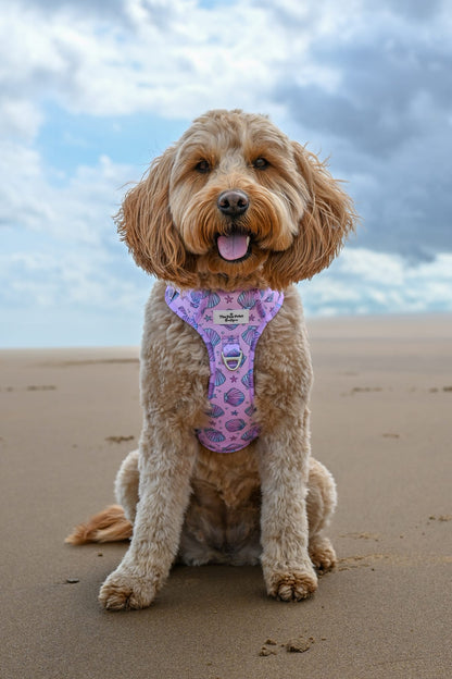 Mermaids Tails Adventure Paws Harness