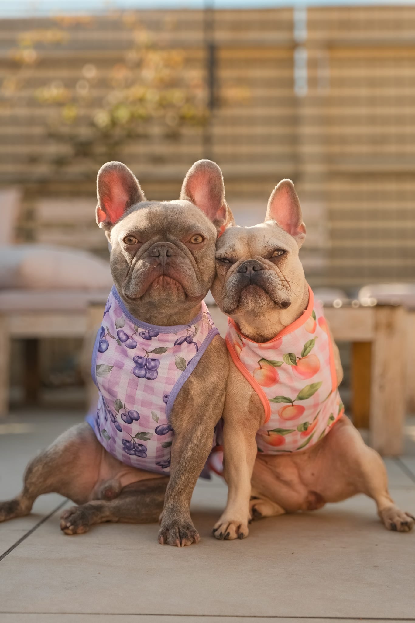 Peach Gingham Cooling Vest
