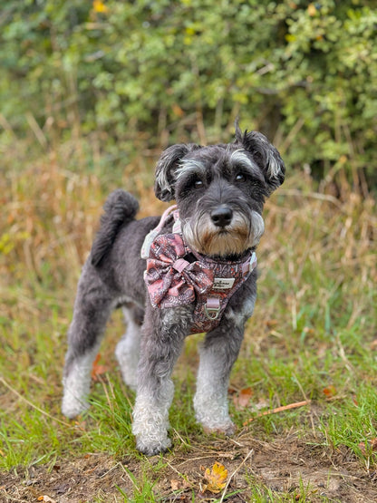 Woodland Wilderness Adventure Paws Harness