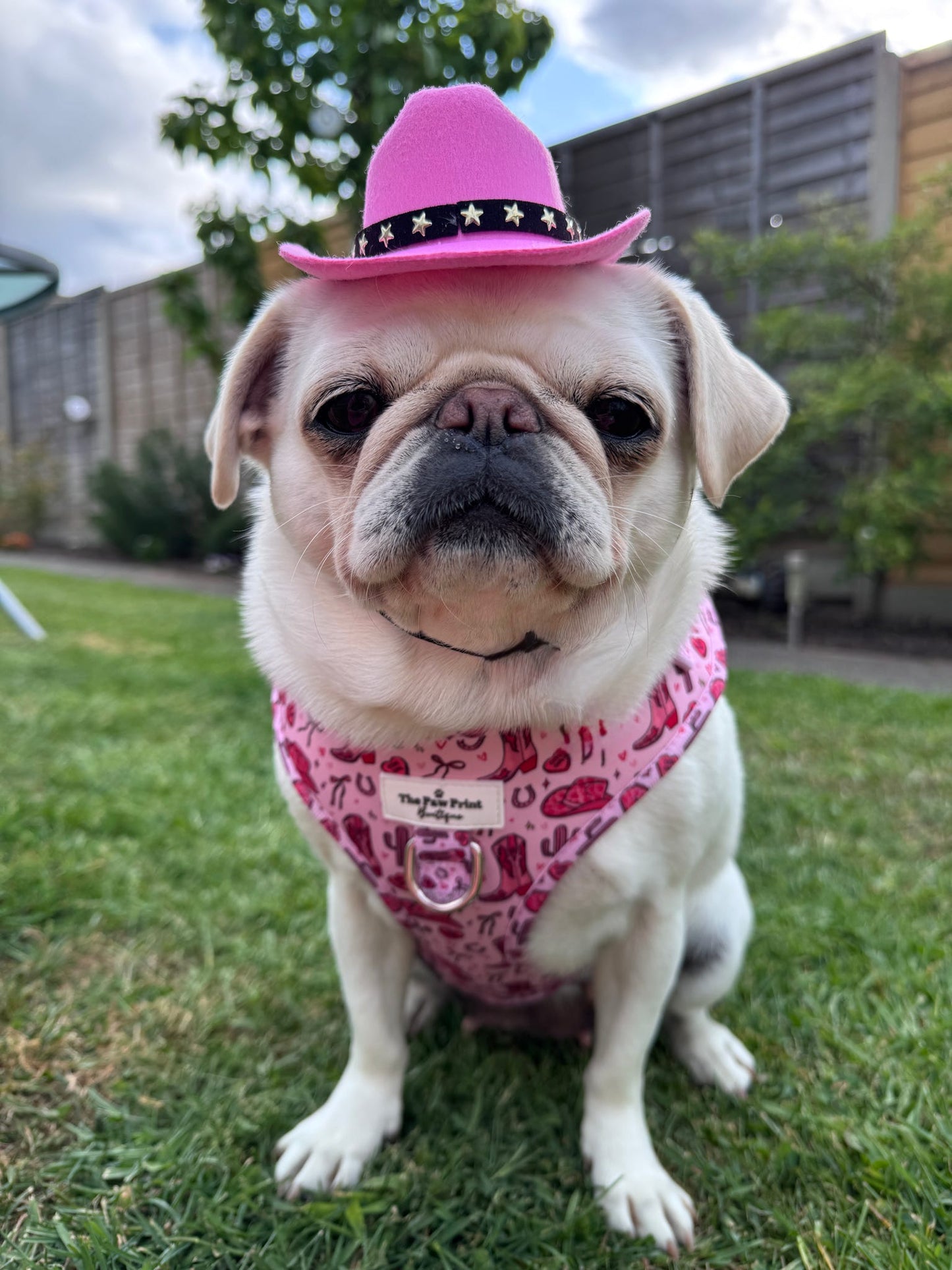 The Giddy up Pup Adjustable Harness