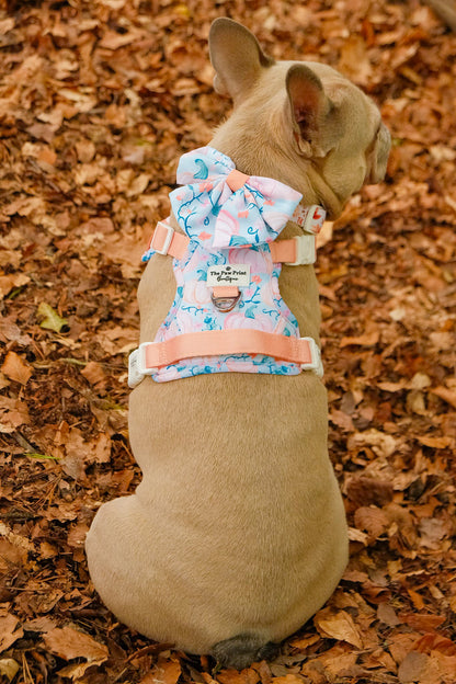 Pablo’s Pumpkins Adventure Paws Harness