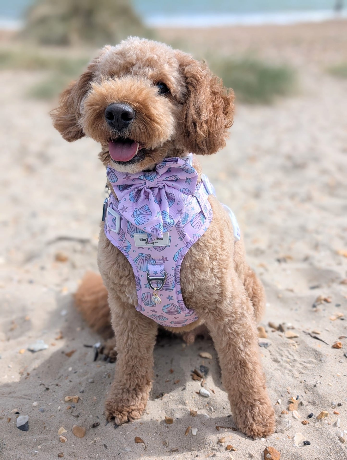 Mermaids Tails Adventure Paws Harness
