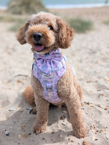 Mermaids Tails Adventure Paws Harness