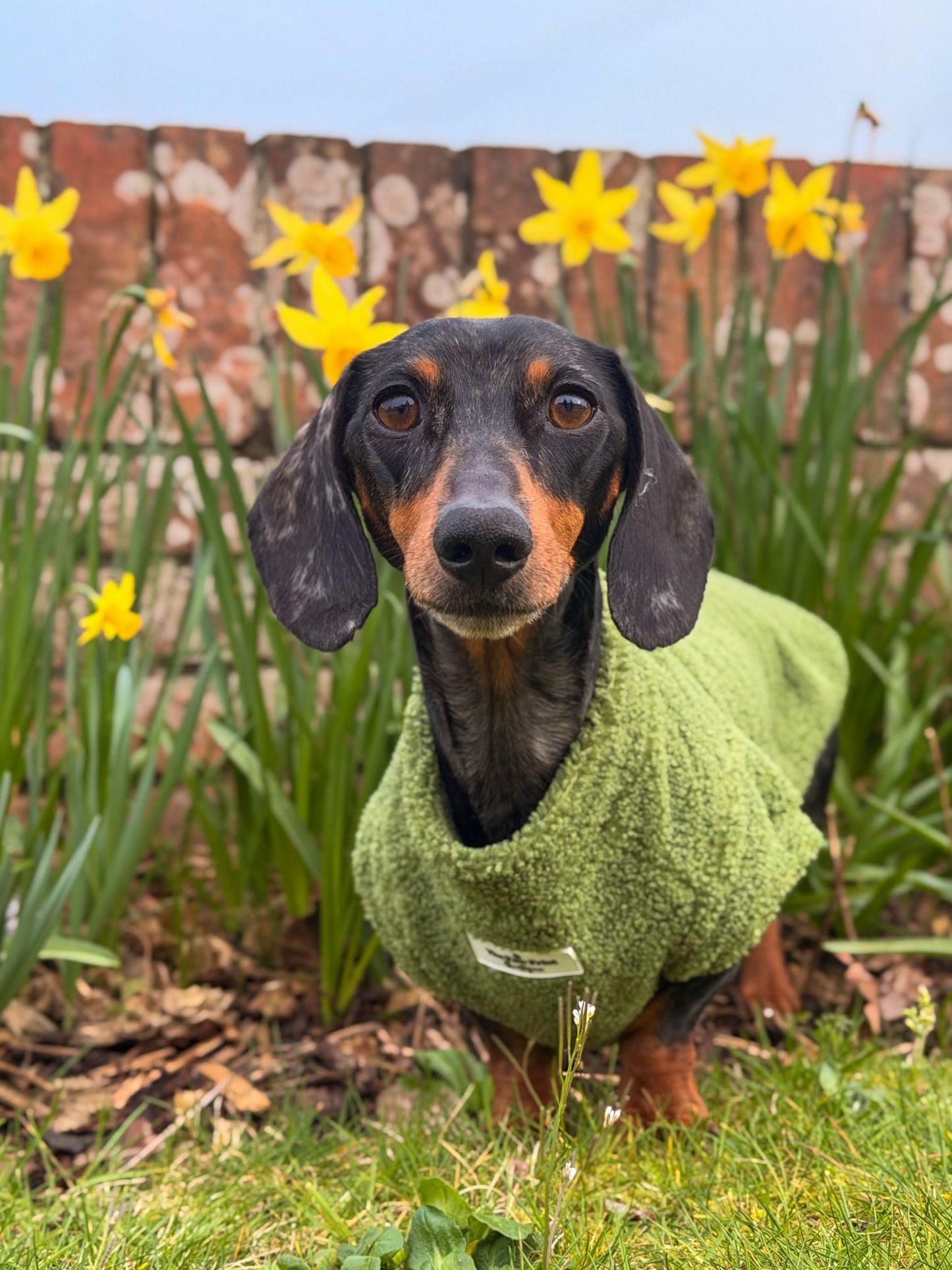 Teddy Fleece - Meadow