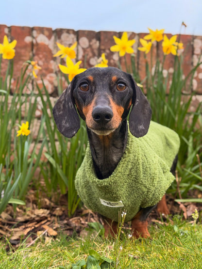 Teddy Fleece - Meadow
