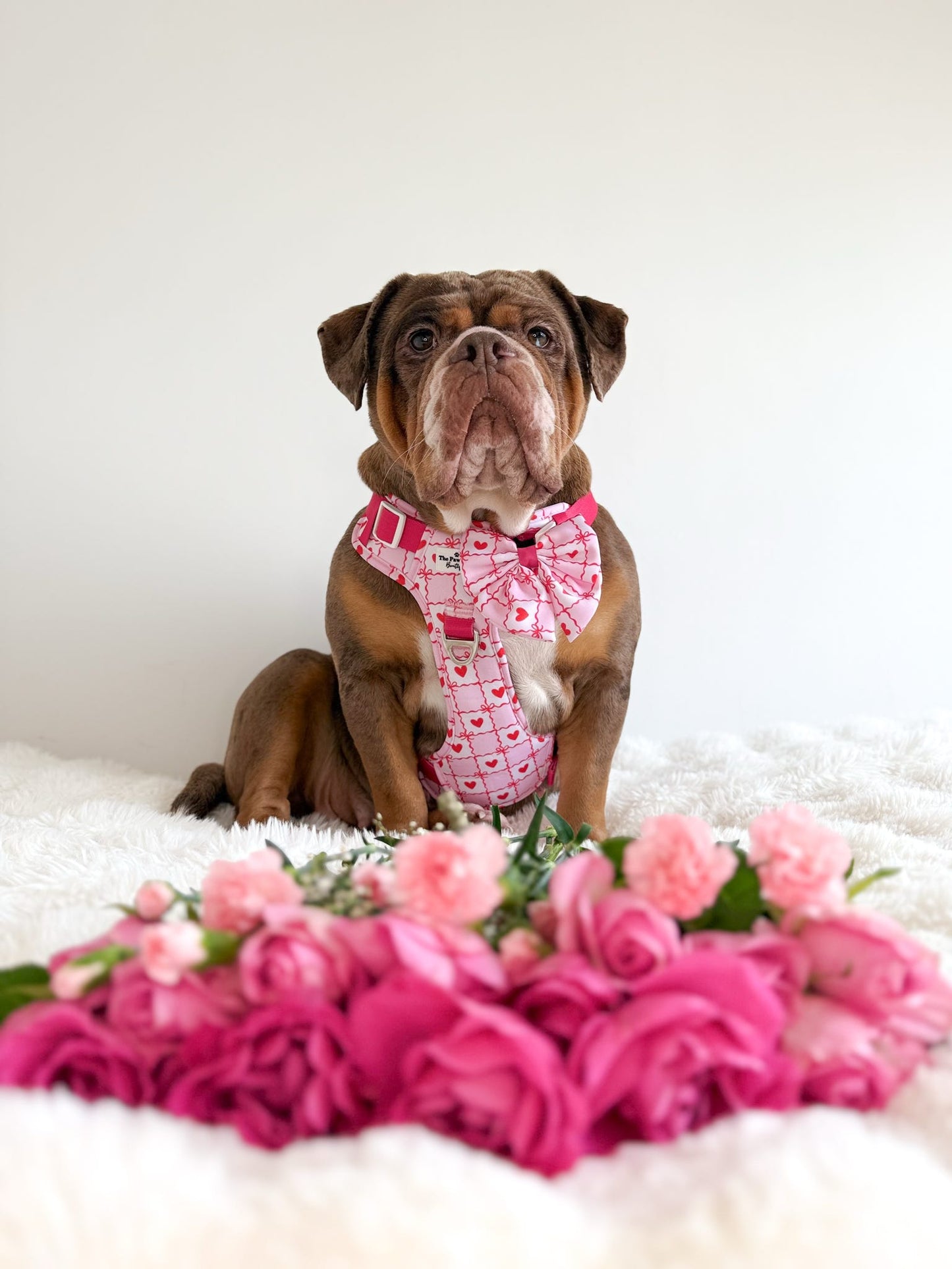 Pink Chequered Hearts Adventure Paws Harness