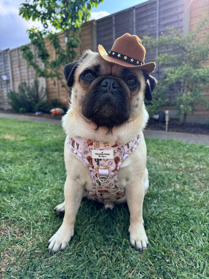 Howdy Pawtner Adventure Paws Harness