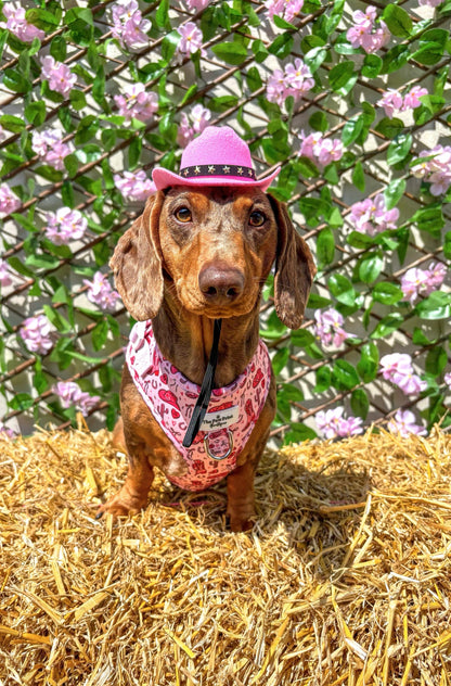 The Giddy up Pup Adjustable Harness