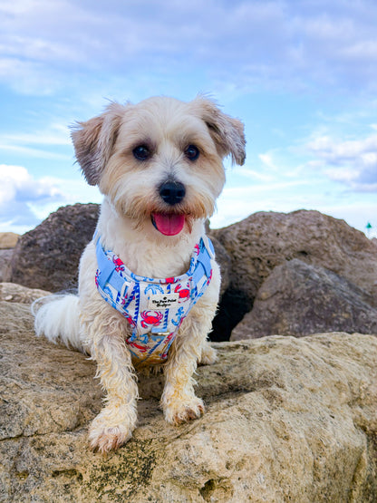 Absolutely Crabulous Adventure Paws Harness