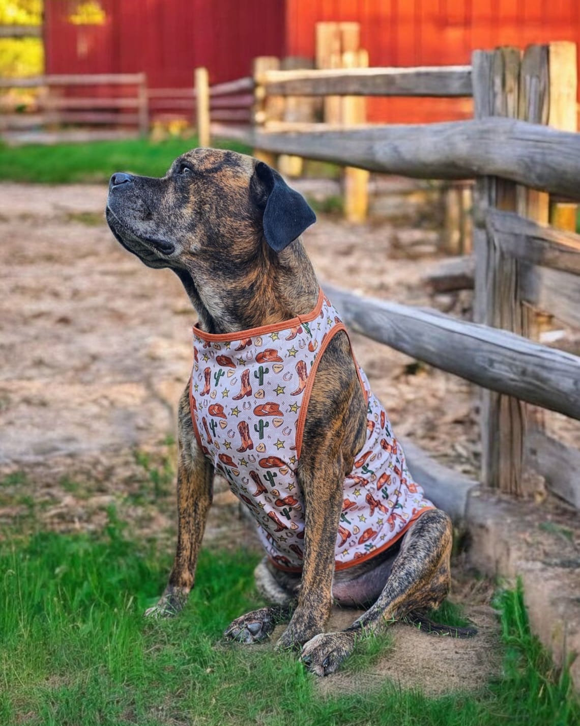 The Howdy Pawtner Cooling Vest