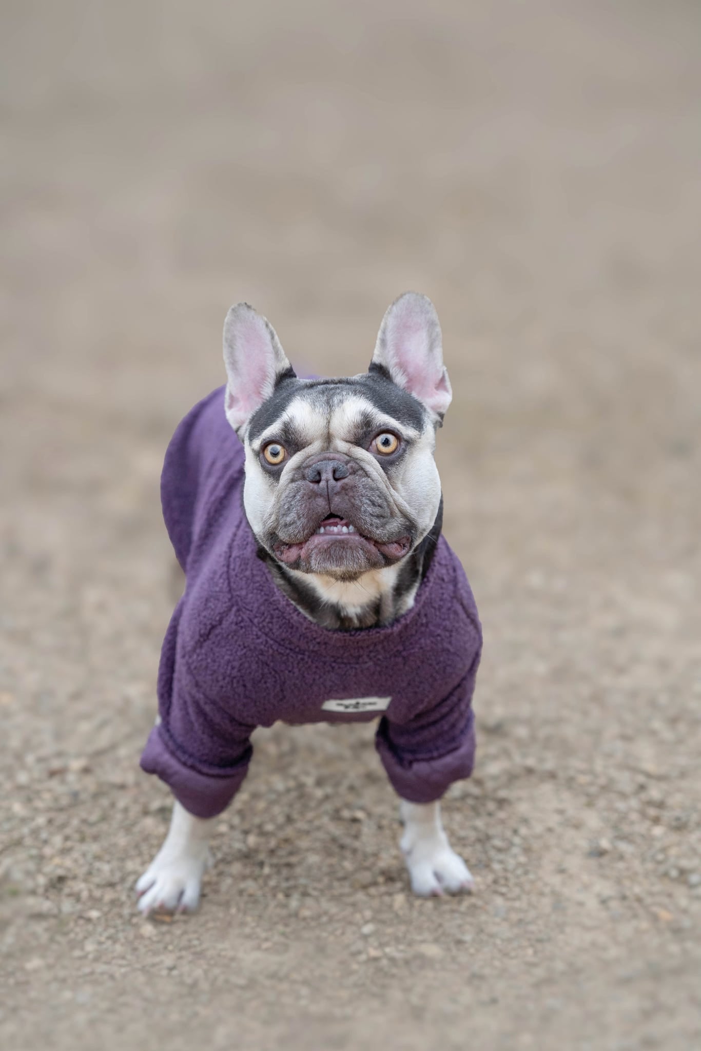 Teddy Fleece - Plum