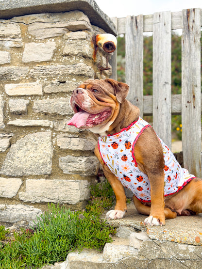 Ladybird Lane Cooling Vest