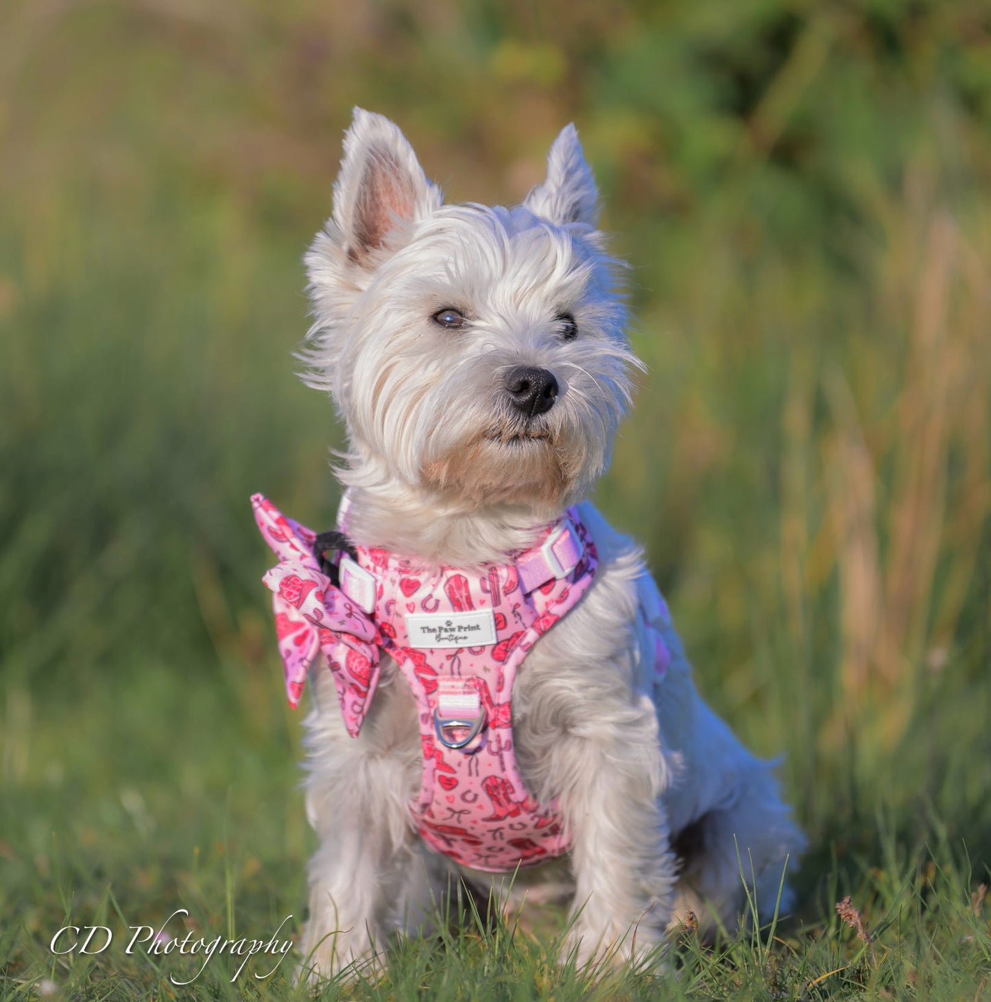 The Giddy up Pup Adventure Paws Harness
