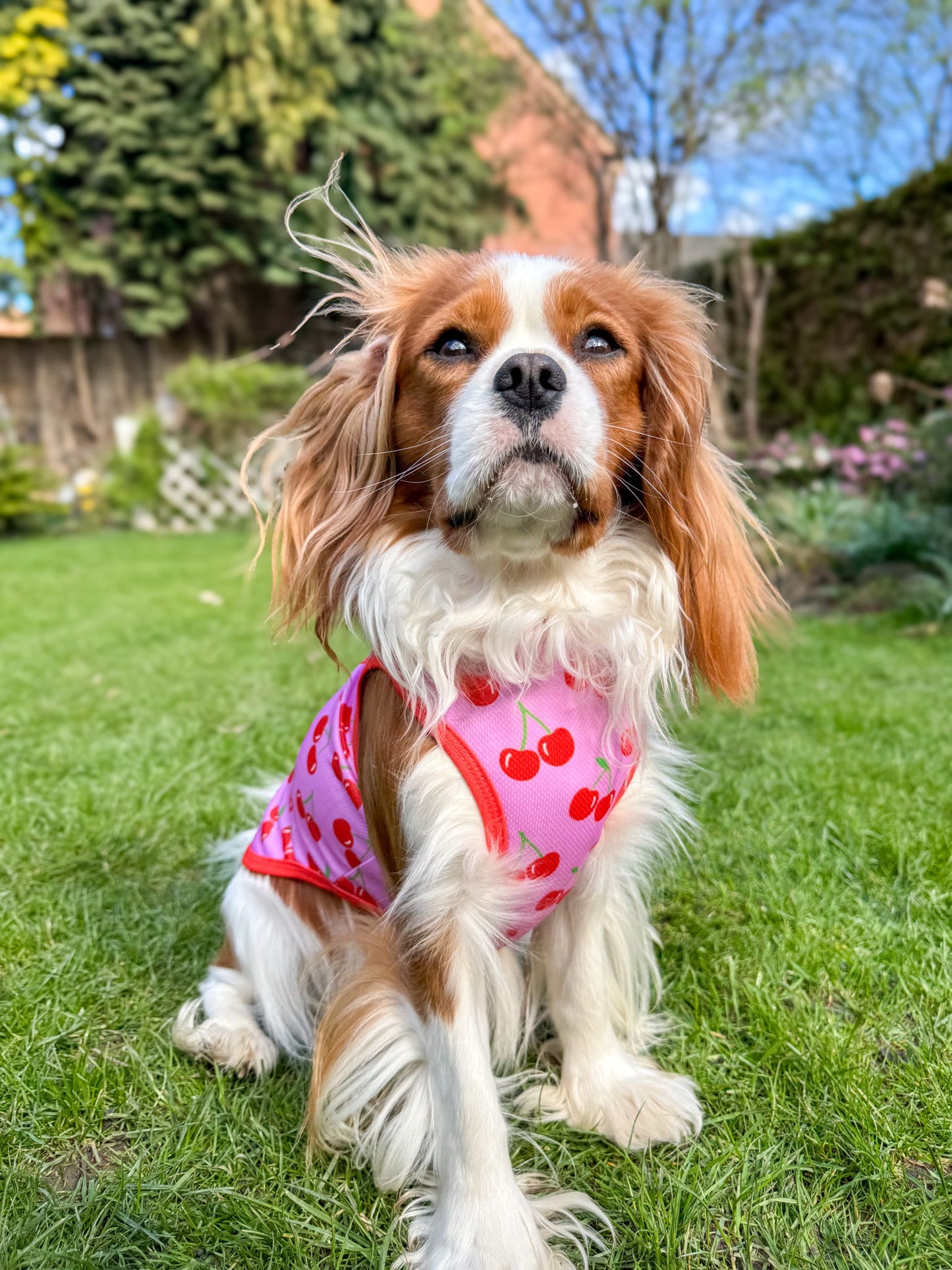 The Cherry on Top Cooling Vest