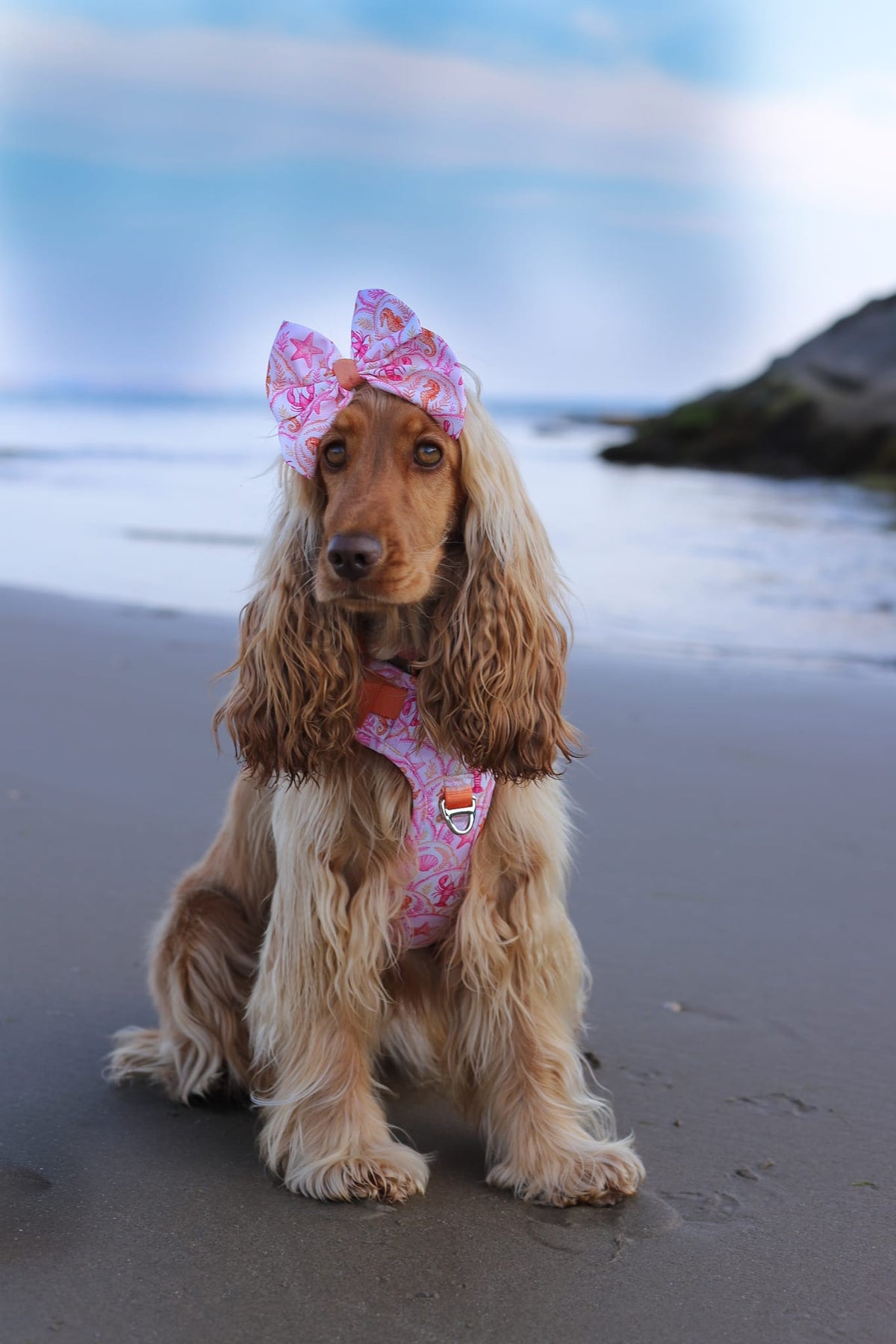 Under the Sea Adventure Paws Harness